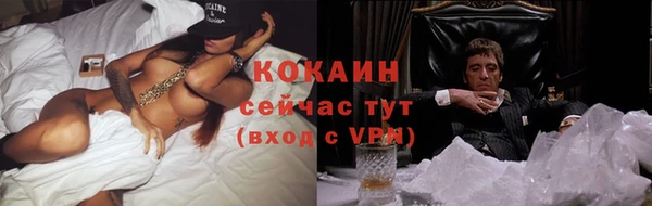 прущие грибы Алексин