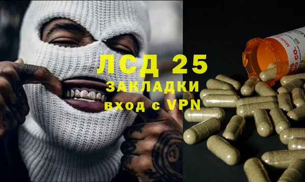 прущие грибы Алексин