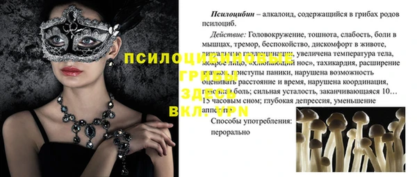 прущие грибы Алексин