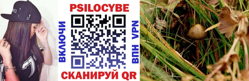 Галлюциногенные грибы Psilocybine cubensis  Дмитриев 